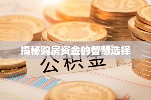 江源揭秘购房资金的智慧选择