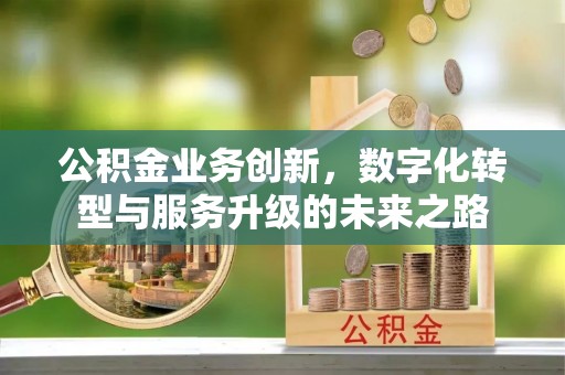 江源公积金业务创新，数字化转型与服务升级的未来之路