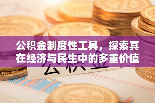 江源公积金制度性工具，探索其在经济与民生中的多重价值