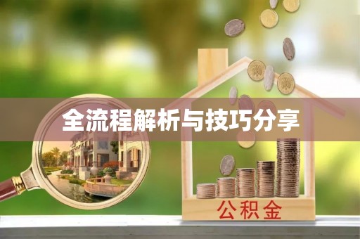 江源全流程解析与技巧分享